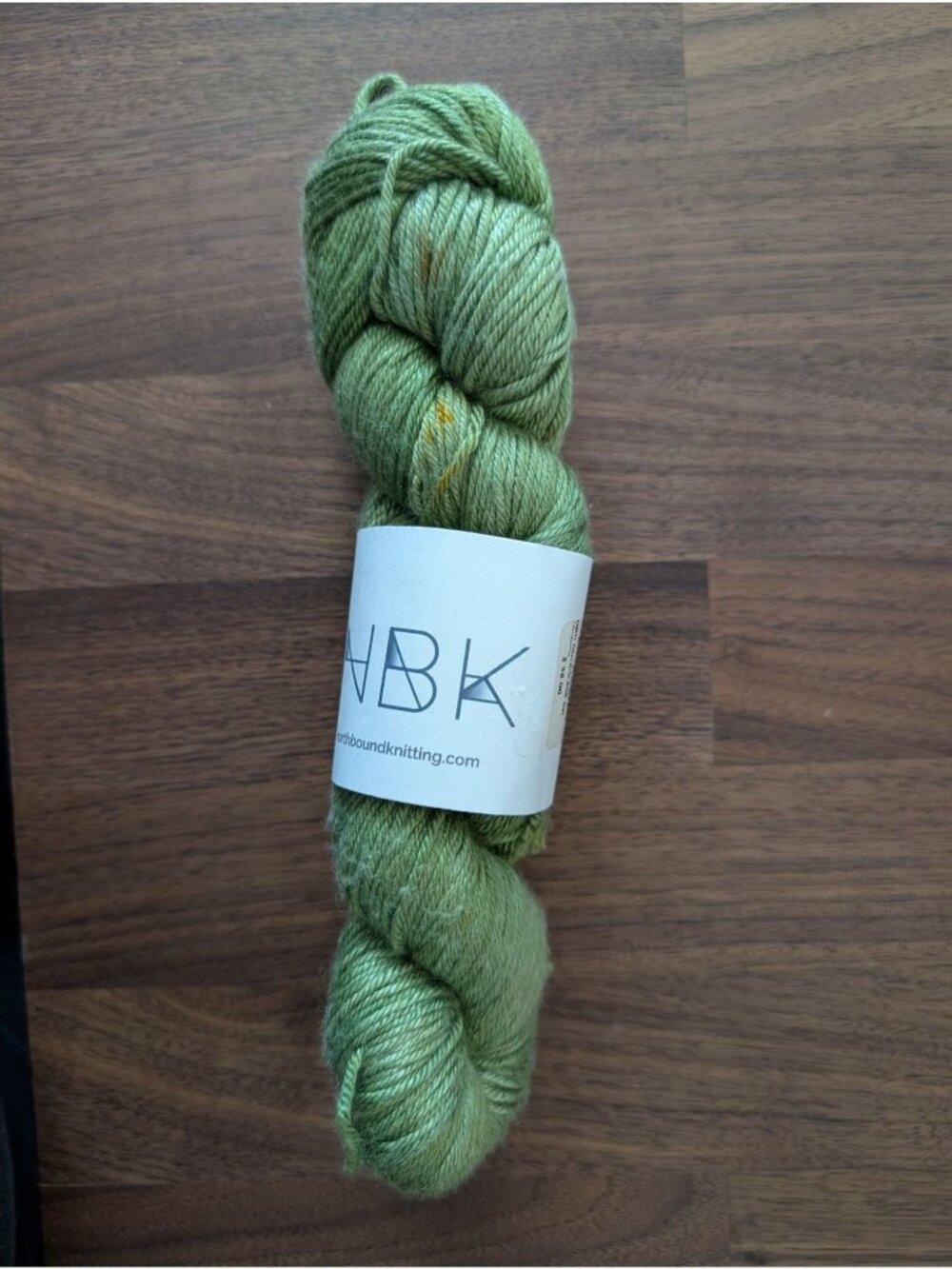 NBK Northbound Knitting Merino Silk DK Hank in Tanqueray